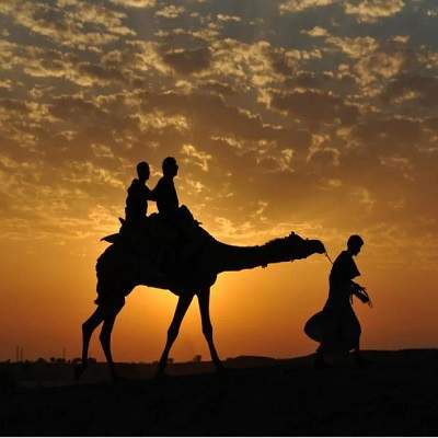 Camel Joy Ride